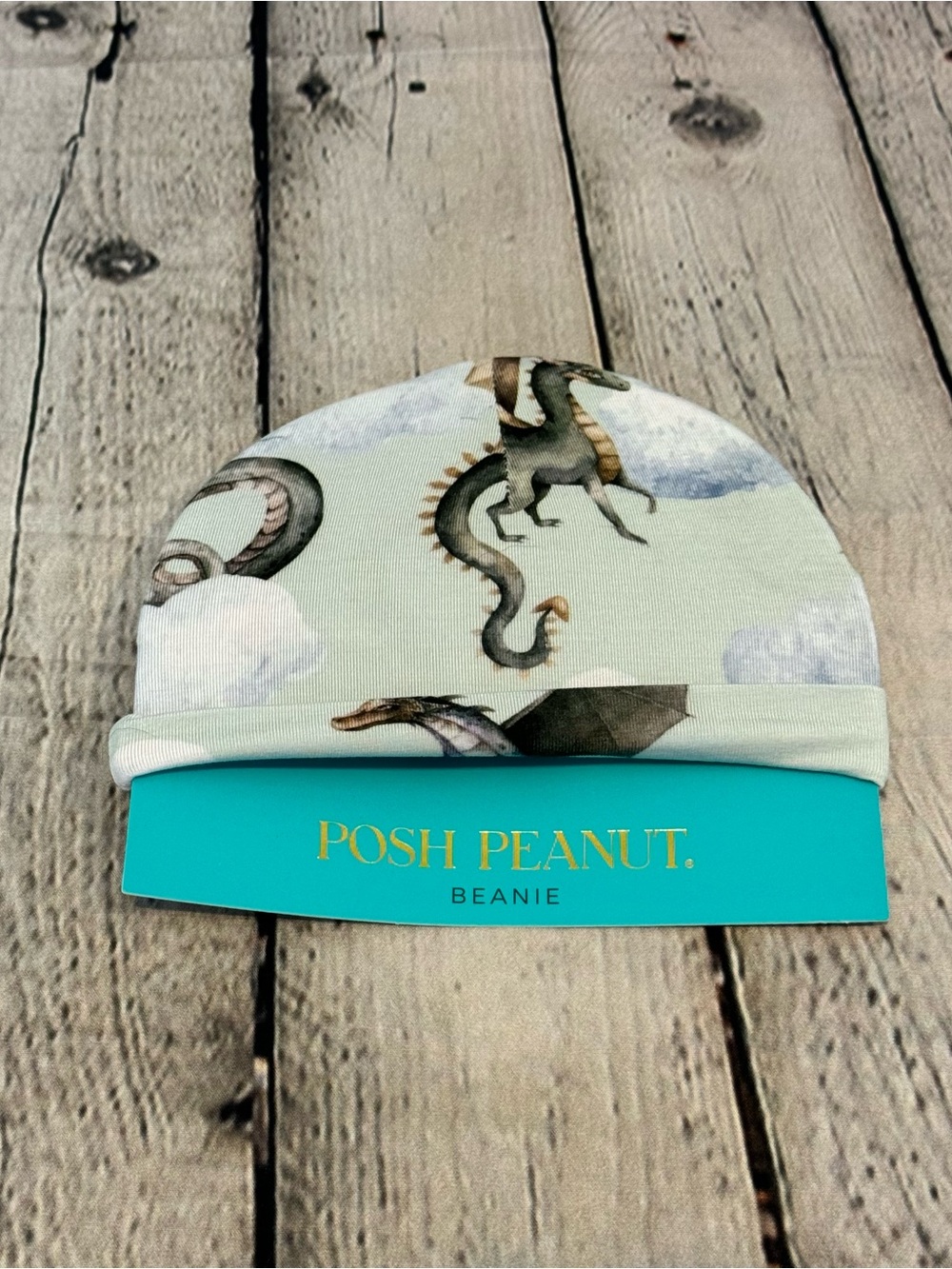 Posh Peanut Dragon Pattern Bamboo Baby Hat